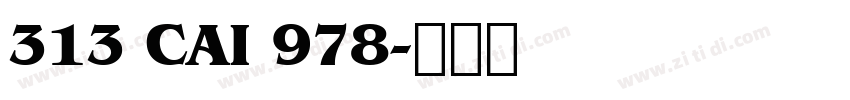 313 CAI 978字体转换